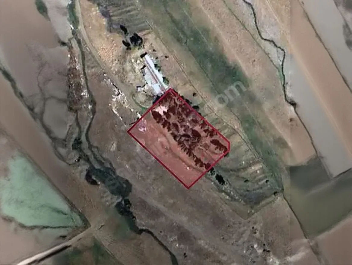 3603M² SATILIK ARSA ERZURUM PALANDÖKEN - 2