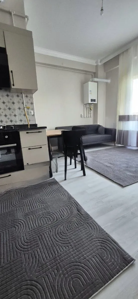 Aziziye Merkez'de Yüksek Giriş Kat 48 m² 1+1 Kiralık Villa - Erzurum / Aziziye / Merkez / Saltuklu Villa