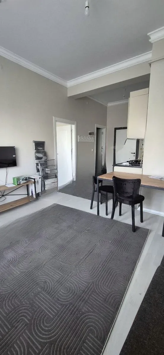 Aziziye Merkez'de Yüksek Giriş Kat 48 m² 1+1 Kiralık Villa - Fotoğraf 3