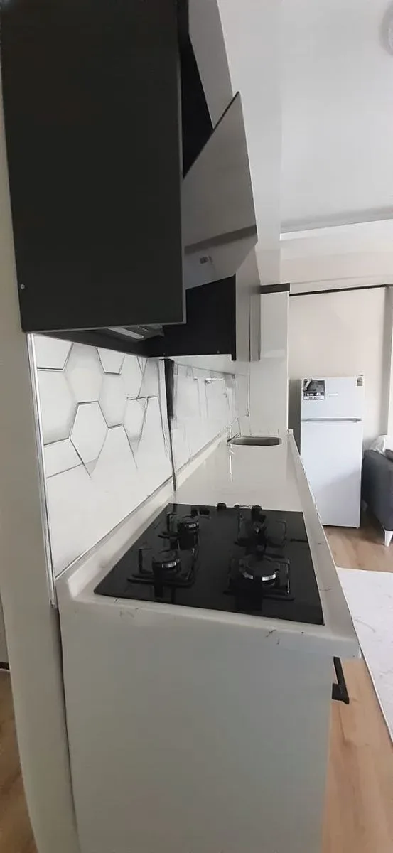 Aziziye Merkez'de 2. Kat 45 m² 1+1 Kiralık Villa - Fotoğraf 2