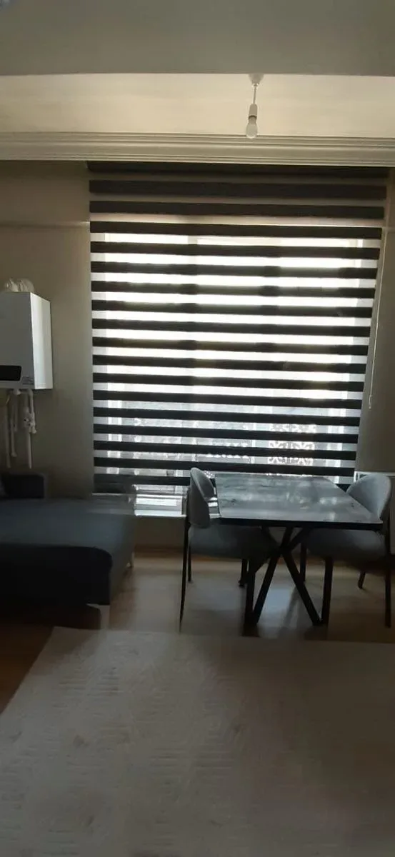 Aziziye Merkez'de 2. Kat 45 m² 1+1 Kiralık Villa - Fotoğraf 6