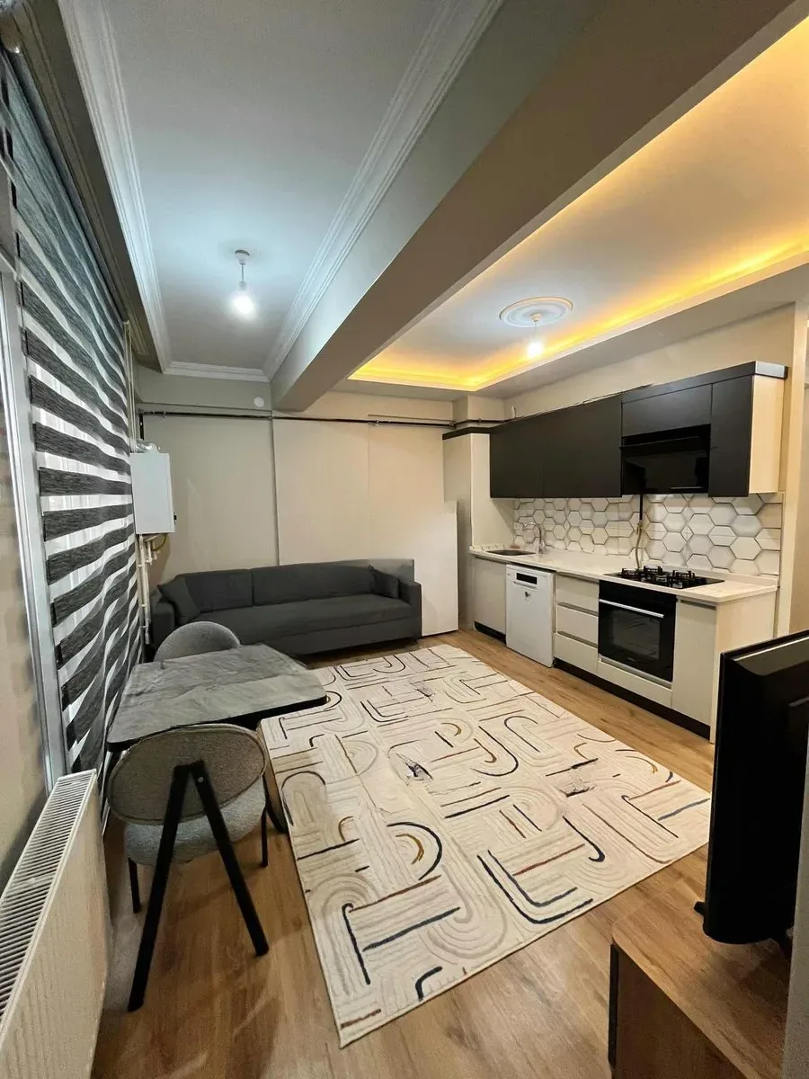 Aziziye Merkez'de 1 Yaşında 2. Kat 45 m² 1+1 Kiralık Villa - Fotoğraf 5