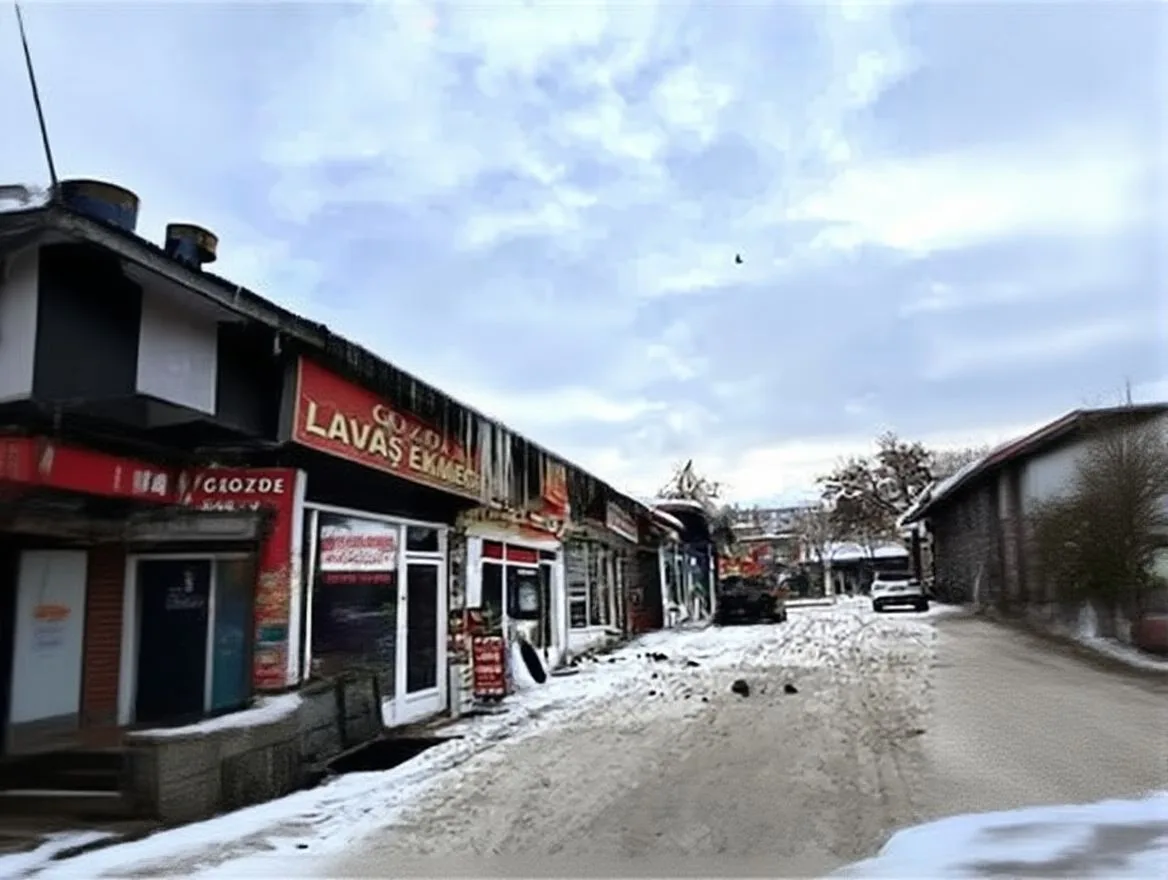 ERZURUM KİRALIK ASANSÖRLÜ 6+1 DUBLEKS 300M² YAKUTIYE - Fotoğraf 41