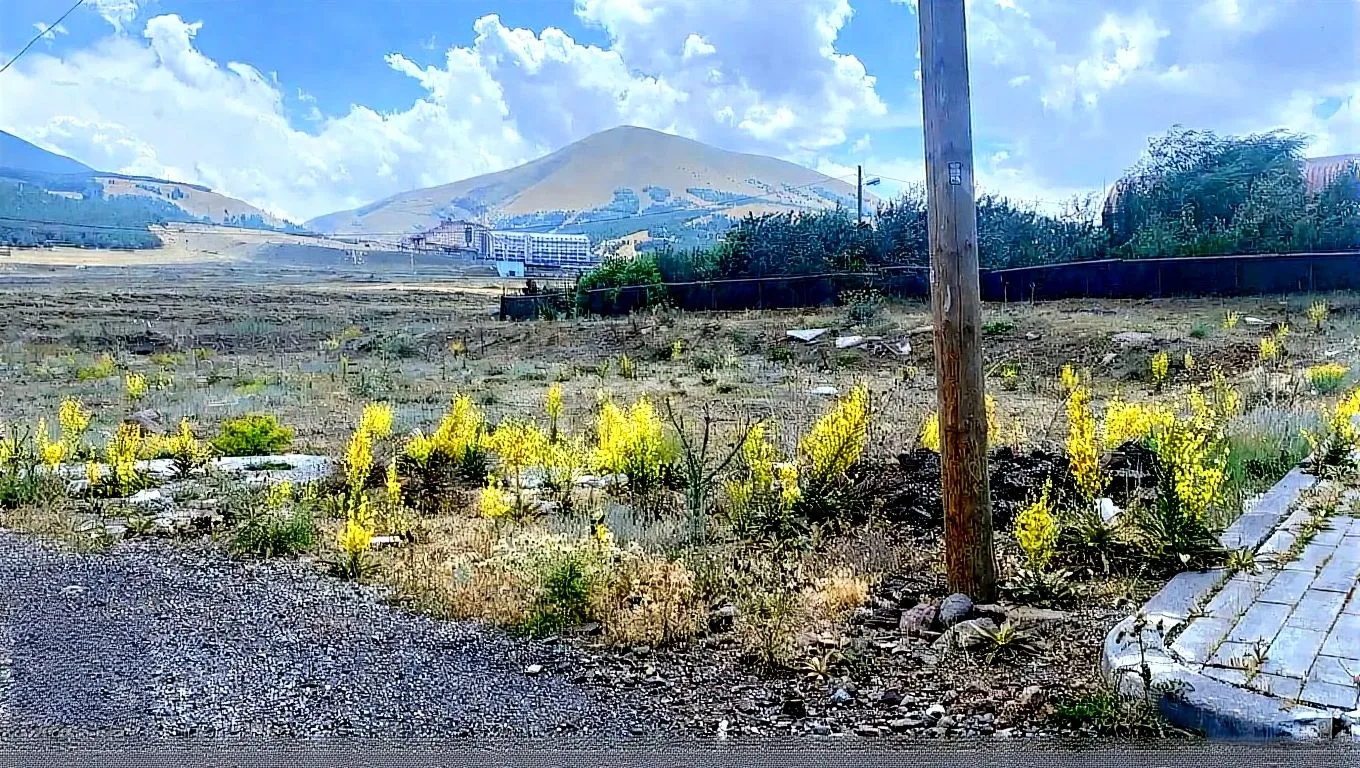 SATILIK LÜKS VİLLA ERZURUM/PALANDÖKEN 1057M² - Fotoğraf 15