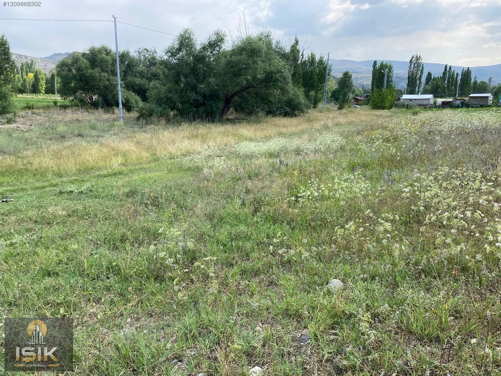 1519M² SATILIK KONAK ERZURUM TORTUM KONAK MAH. - 4