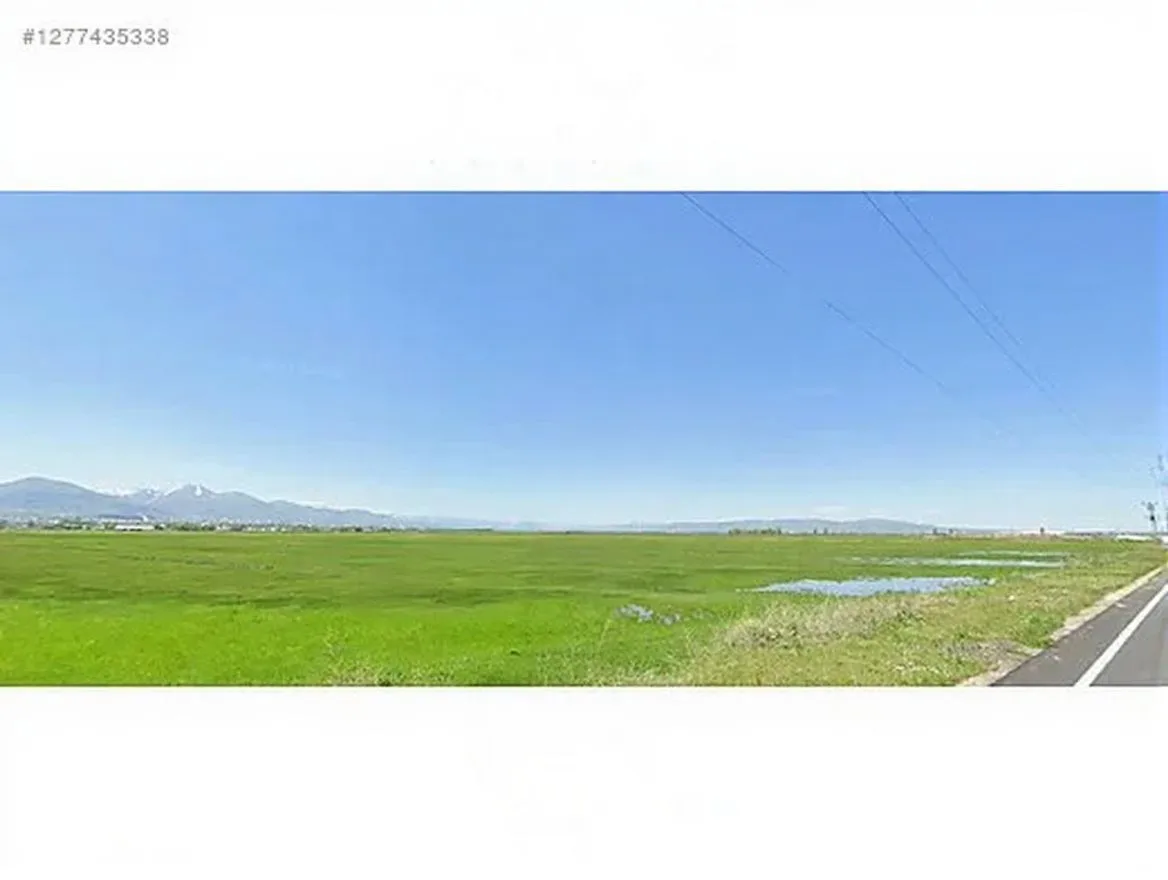 4182M² SATILIK ARSA ERZURUM YAKUTIYE - 2