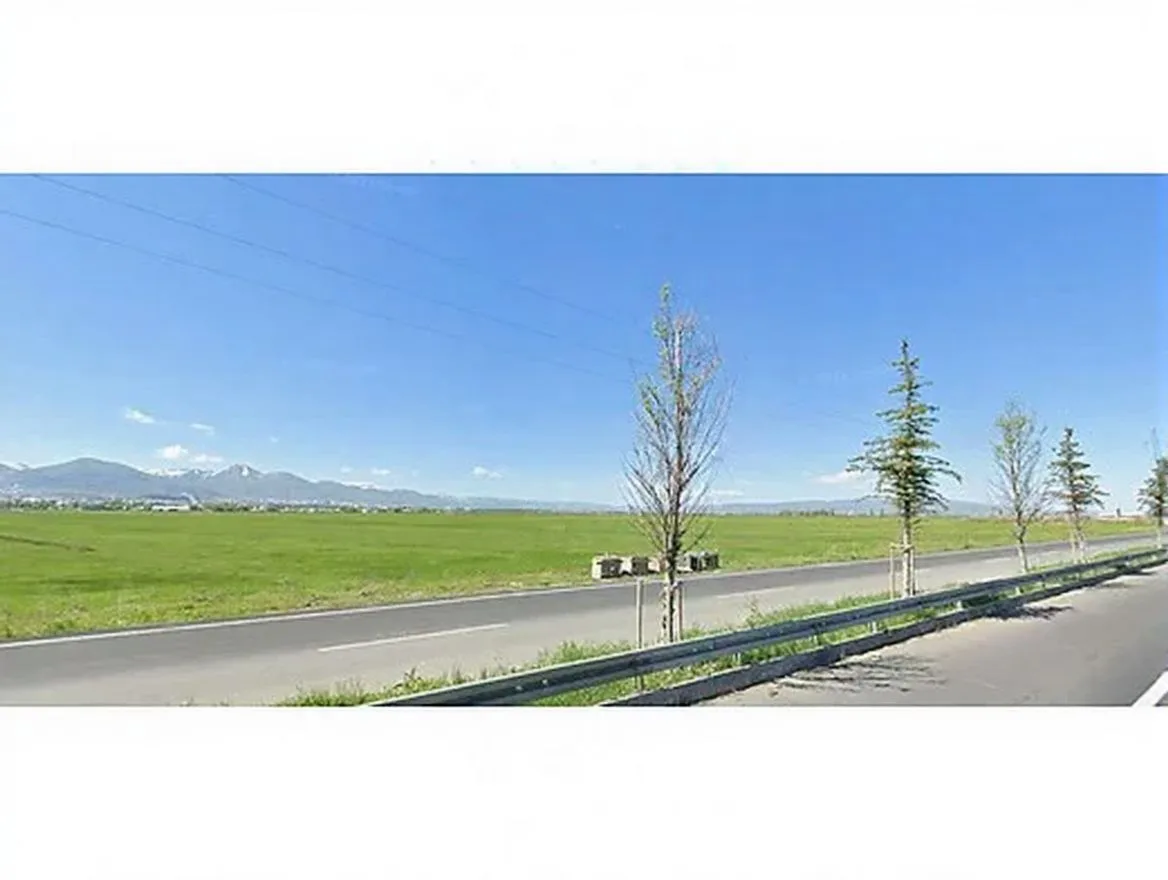 4182M² SATILIK ARSA ERZURUM YAKUTIYE - 3