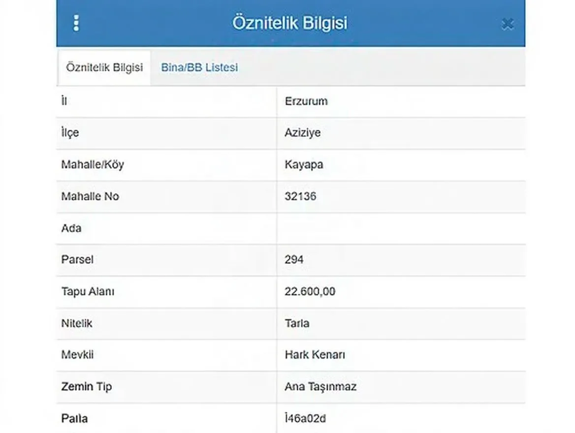 ERZURUM SATILIK ARSA 22600M² AZIZIYE KAYAPA MAH. - 3
