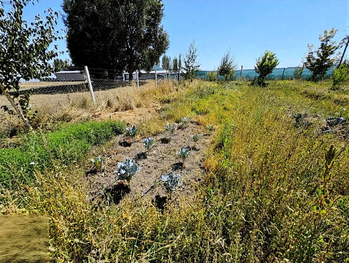 SATILIK EMLAK ERZURUM/AZIZIYE 2000M² - Fotoğraf 10