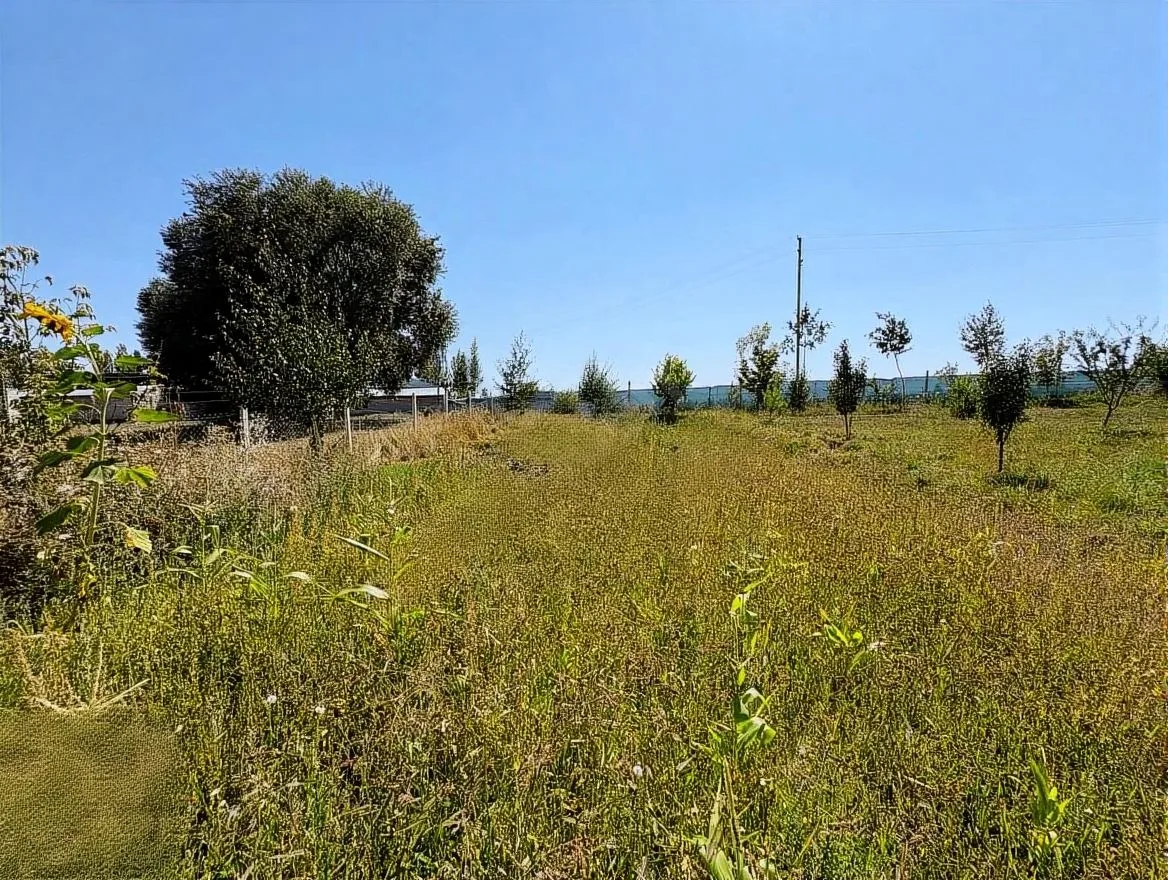 SATILIK EMLAK ERZURUM/AZIZIYE 2000M² - Fotoğraf 9